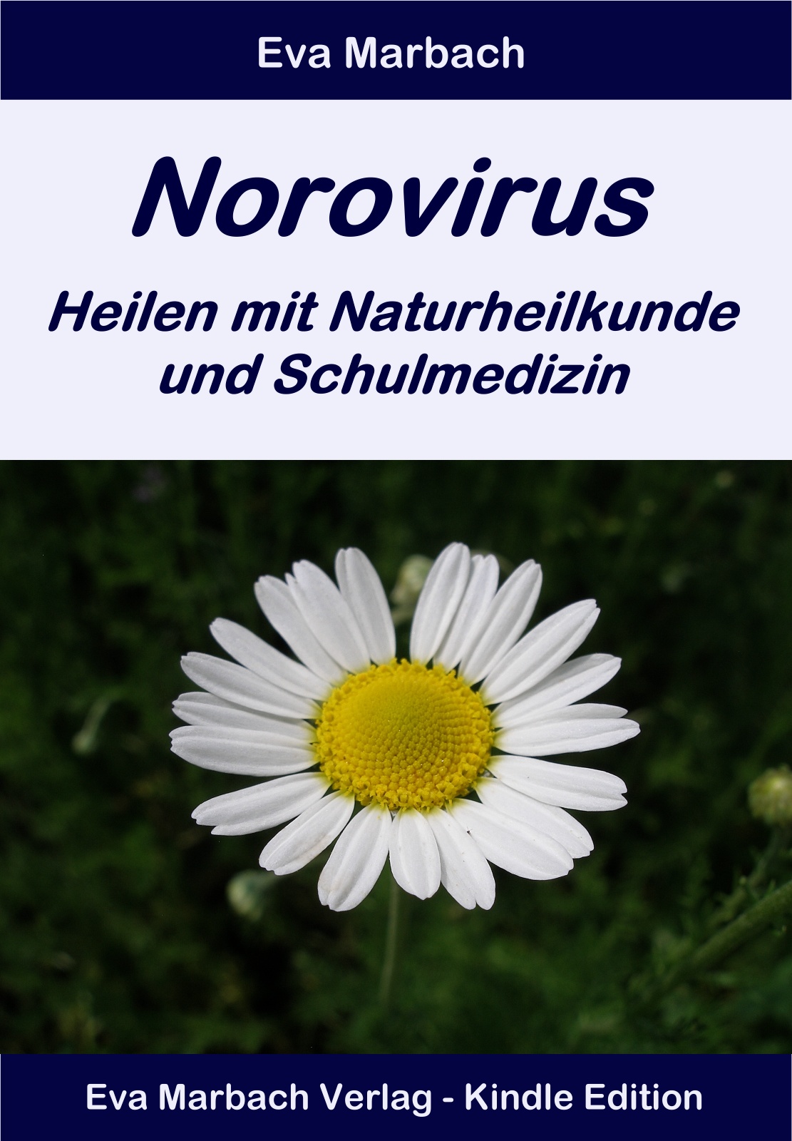 Norovirus E-Book